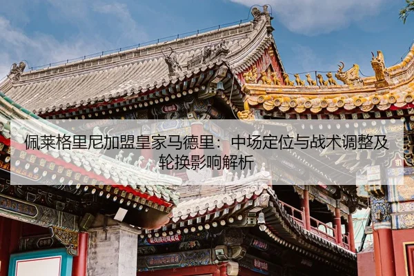 佩莱格里尼加盟皇家马德里：中场定位与战术调整及轮换影响解析